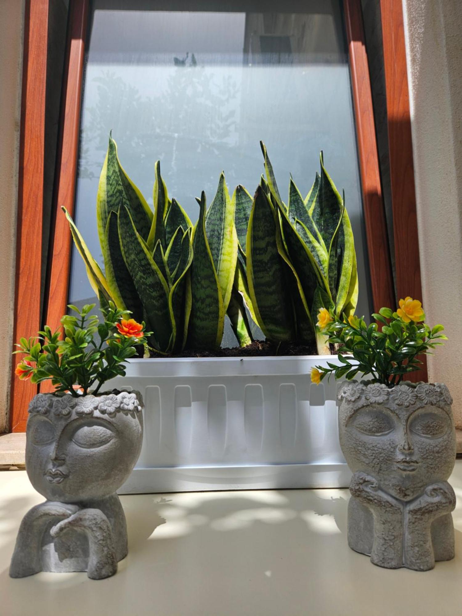 Guru House B&B Apartments Milazzo Exterior foto